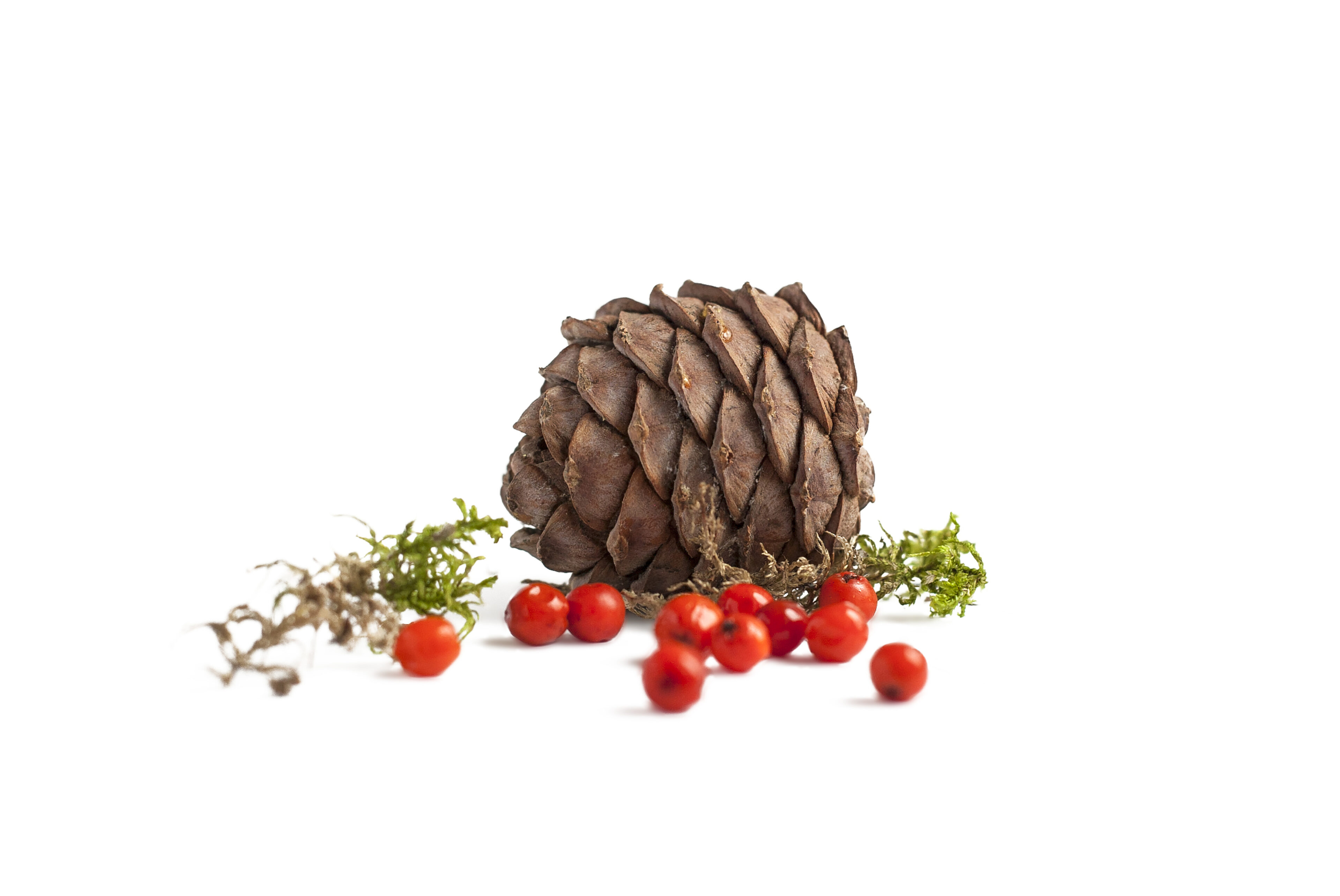 Neuvottelutulos Valtiolle Meto