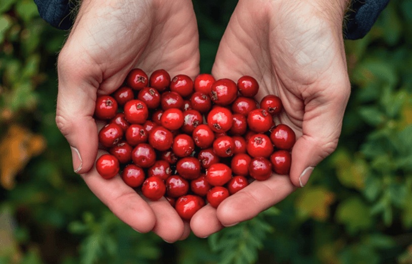 Kannattaako eläkkeelle jäädä joulu- vai tammikuussa?