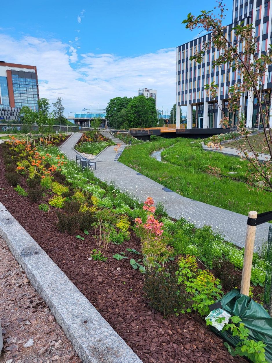 Metsä- ja viherpäivät Espoossa 21.-22.5.2026