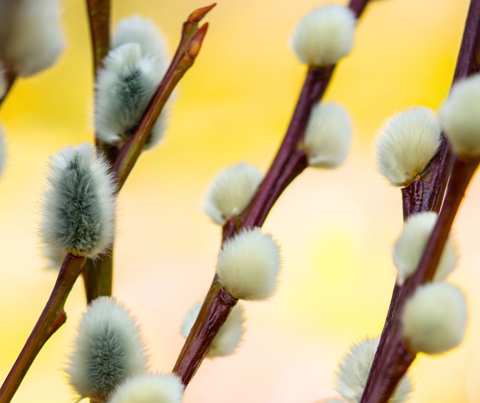 Hyvää pääsiäistä!