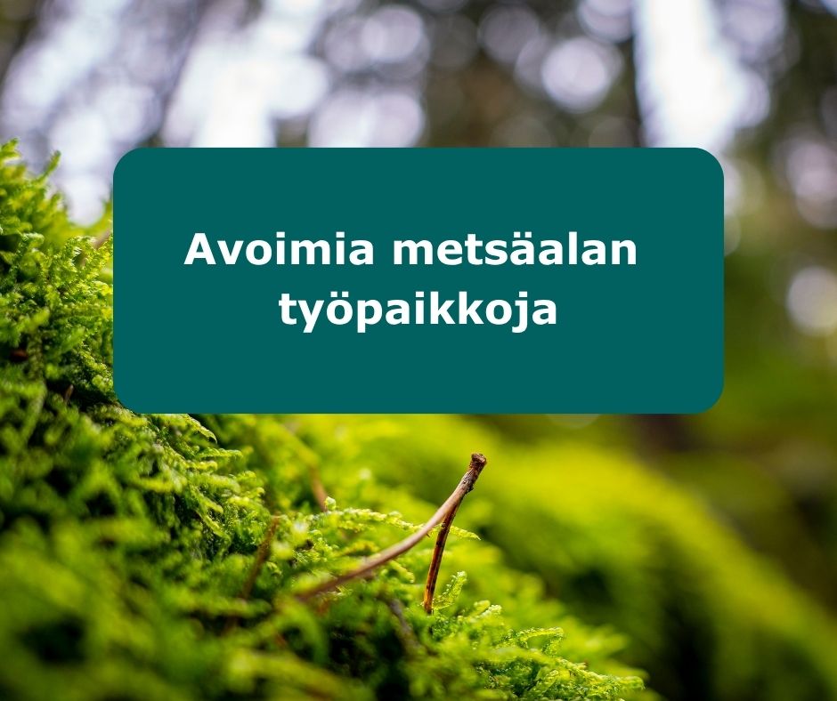 Avoimia työpaikkoja kotisivuilla