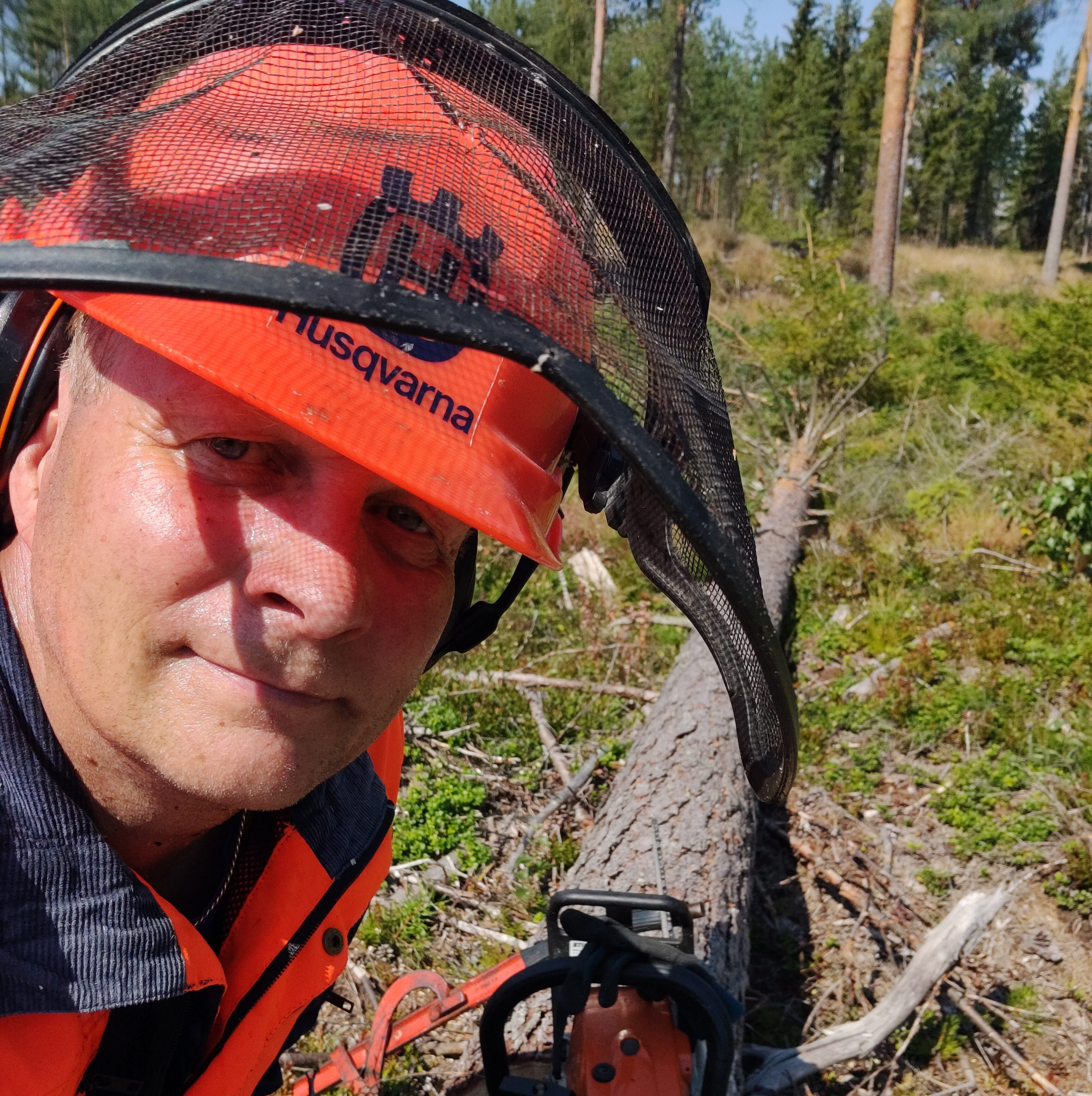 Päätöksiä, dataa ja vastuuta – metsäasiantuntijan työ murroksessa
