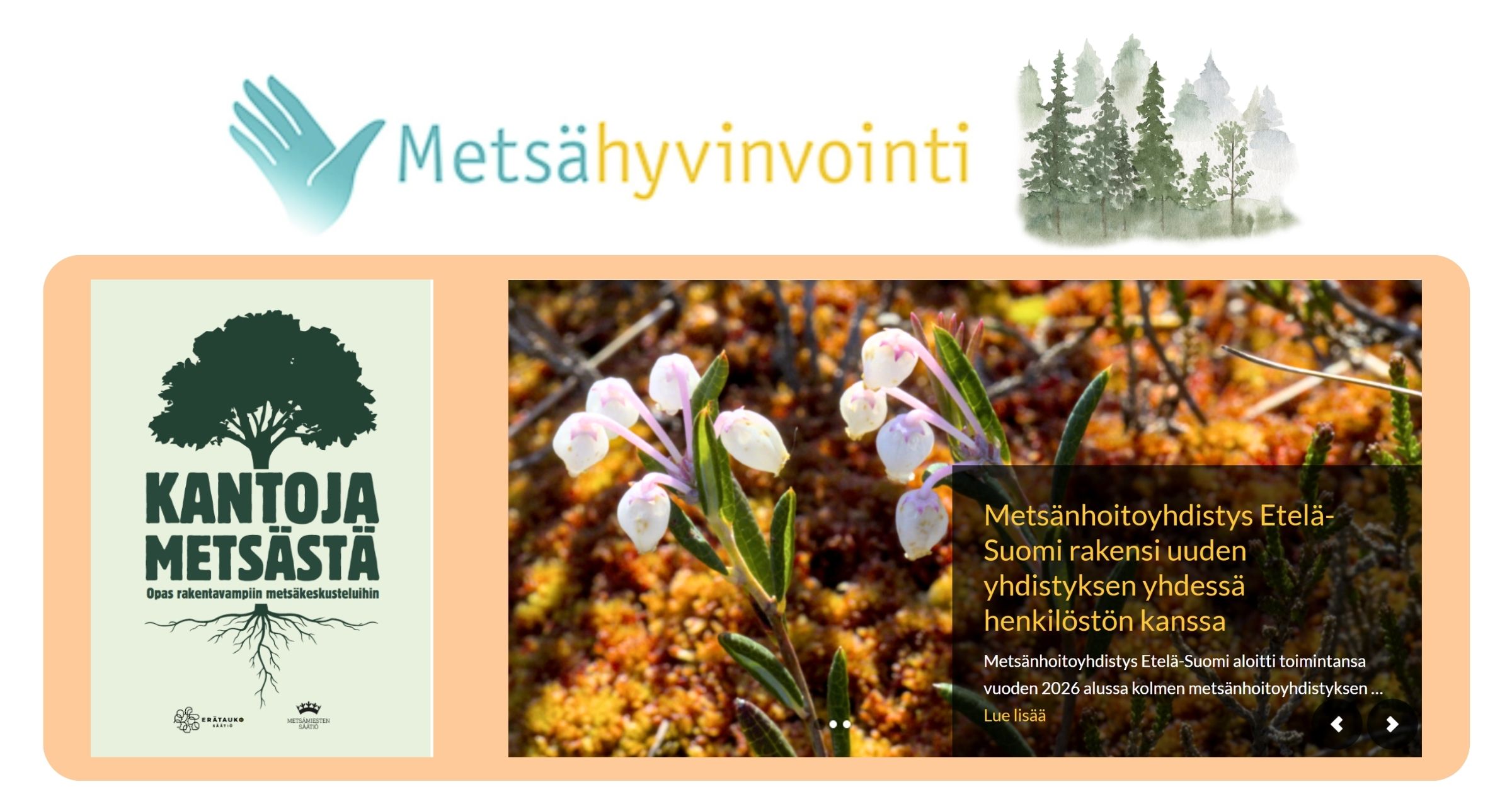 Metsähyvinvoinnin pyöreän pöydän kuulumisia