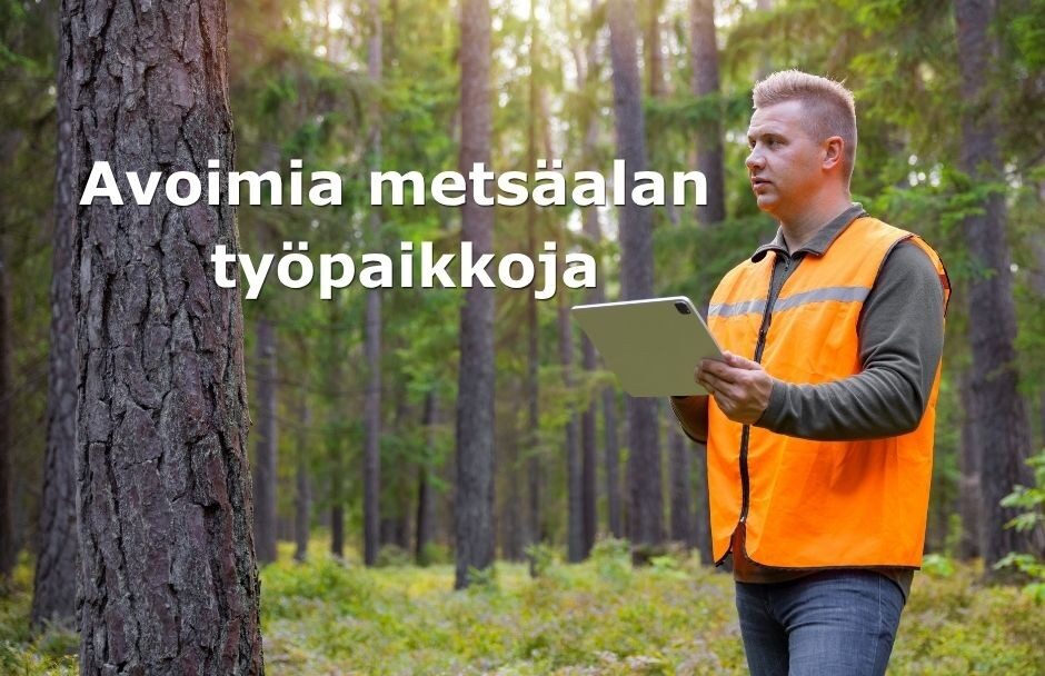 Avoimia työpaikkoja kotisivuilla